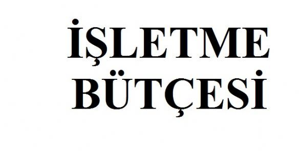 2020 İŞLETME BÜTÇESİ